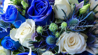 Значение цветов синего цвета и их названия