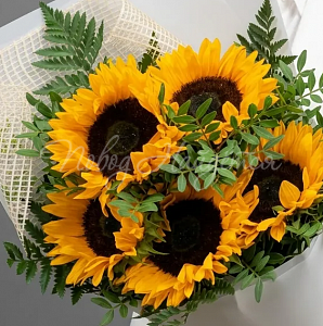 Цветы Букет Солнечные лучи