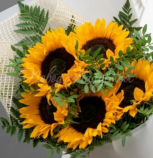 Букет Солнечные лучи — Повод Найдется