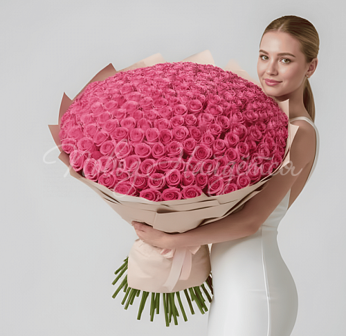 Букет 501 розовая роза