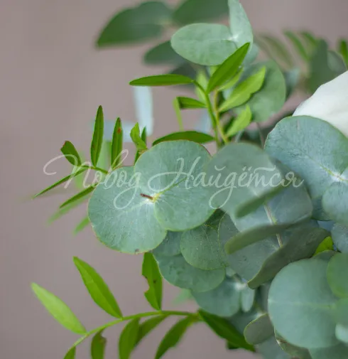 Цветочная композиция Композиция № 350 — Повод Найдется