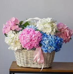 ГОРТЕНЗИИ Букет Баунти