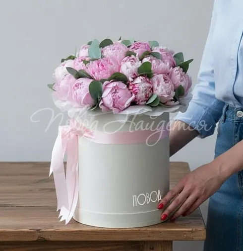 Букет 25 пионов в коробке — Повод Найдется