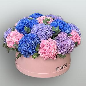 Корзина Московские каникулы