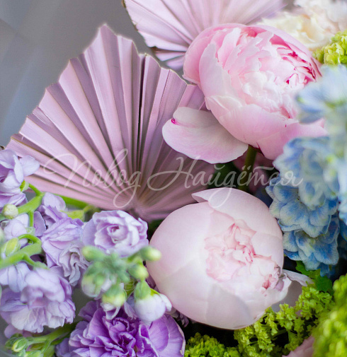 Яблоки в цвету