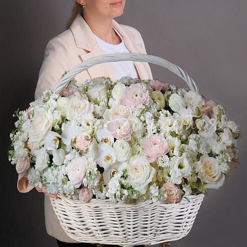 Королева красоты