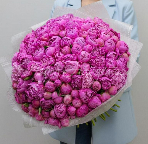 Букет Сумасшедший взгляд