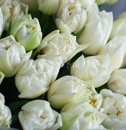 Букет Нежный вечер — Повод Найдется