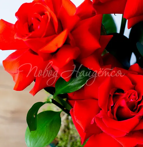 Цветочная композиция Композиция №149 — Повод Найдется