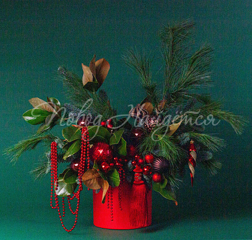 Зимний румянец