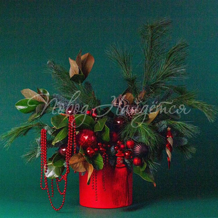 Зимний румянец