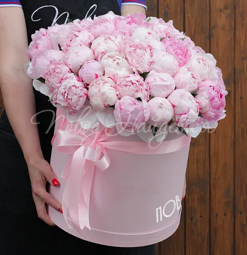 Букет 51 пион в коробке — Повод Найдется