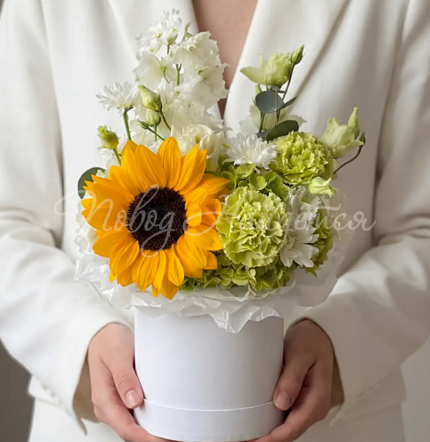 Букеты с подсолнухами Букет Мое солнце