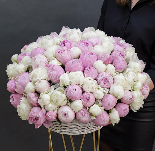 ПИОНЫ Букет Куршавель