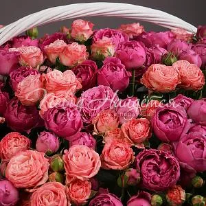 Корзины Корзина Заманчивый вечер