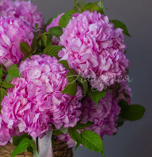 Букет Нежно обнимаю — Повод Найдется