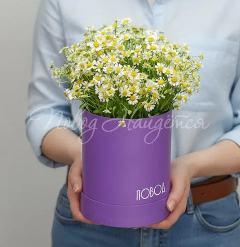 Букет Кусочек лета — Повод Найдется