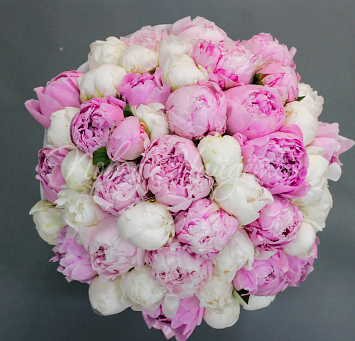 Монобукеты из пионов Букет Хруст безе