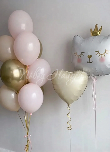 Воздушные шары Шары Шары для девочки 005