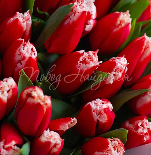 Букет Яркий вечер — Повод Найдется