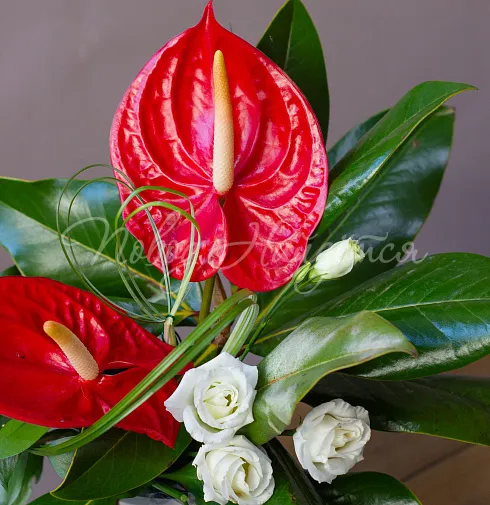 Цветочная композиция Композиция №133 — Повод Найдется