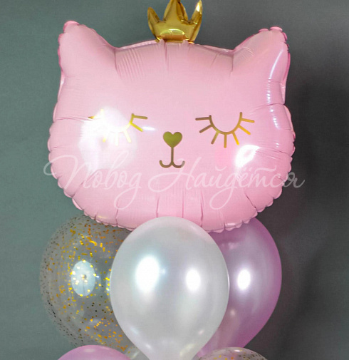 Шары Облако шаров "Кис-Кис" — Повод Найдется