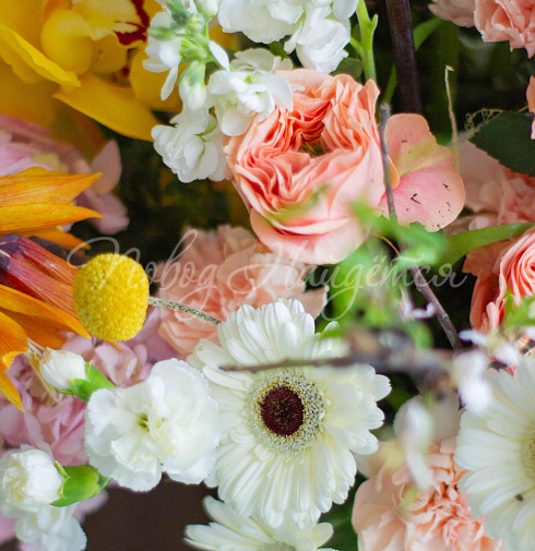 Букет Экзотическое утро — Повод Найдется