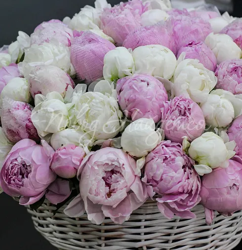 Букет Куршавель — Повод Найдется