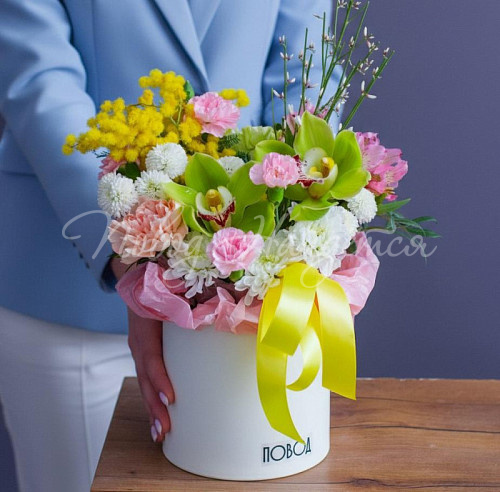 8.03 В объятиях весны