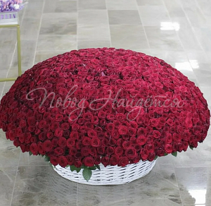 1001 роза Букет 1001 роза в корзине