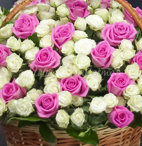 Корзина Роттердам — Повод Найдется