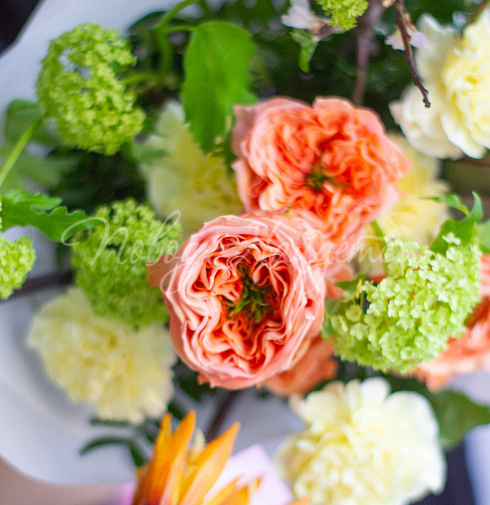 Букет В объятиях лета — Повод Найдется