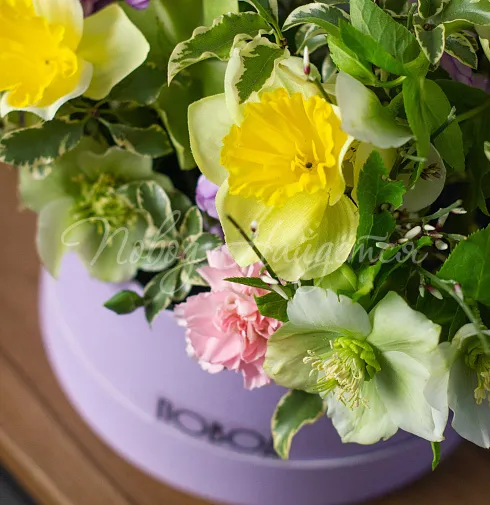 Корпоративный 056