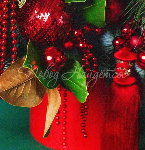 Зимний румянец