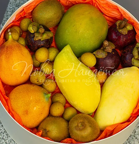 Корзина Экзо — Повод Найдется