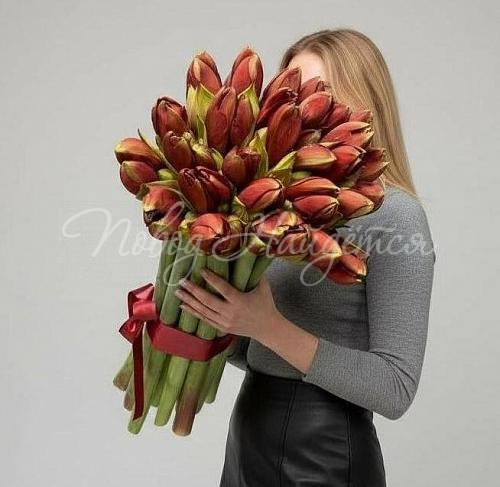 Букет 21 амариллис 