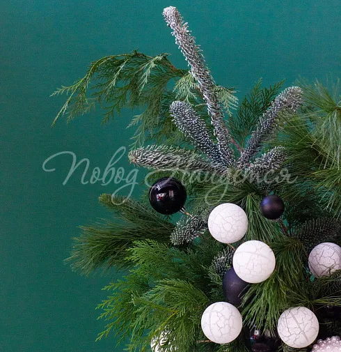 Брызги шампанского