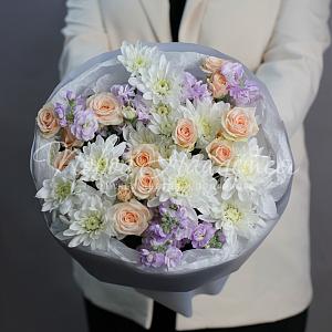 Александрия