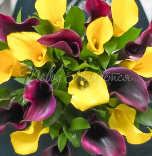 Букет Огонь желания — Повод Найдется