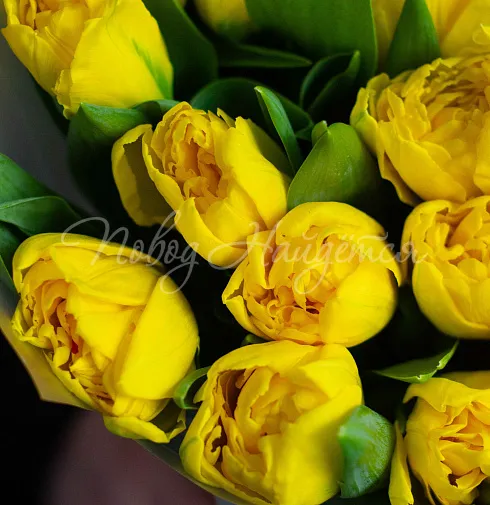 Букет Весеннее солнышко — Повод Найдется