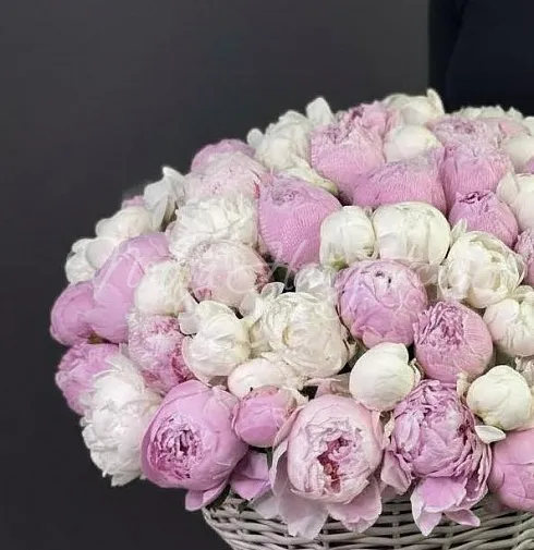 Букет Отрываюсь от Земли — Повод Найдется