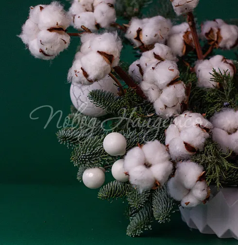 Зимние грезы