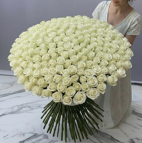 Букет 501 белая роза