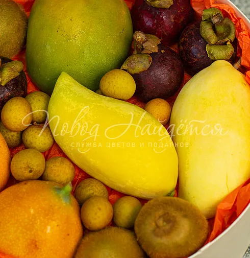 Корзина Экзо — Повод Найдется