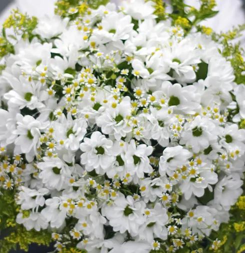 Букет Аромат лета — Повод Найдется