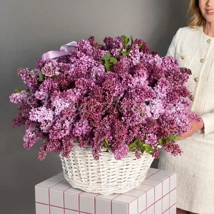 СИРЕНЬ Букет В саду сирени