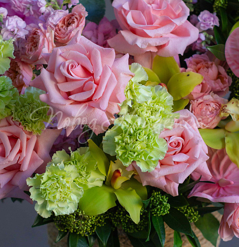 Корзина Житель твоих снов — Повод Найдется