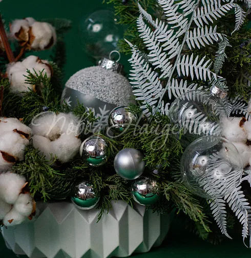 Зимние грезы