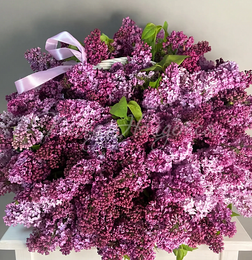 Букет В саду сирени — Повод Найдется