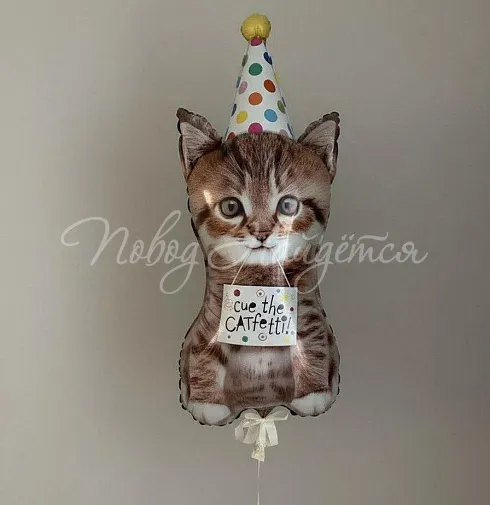 Шары Котенок в колпаке — Повод Найдется